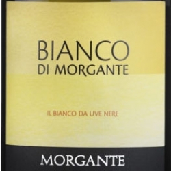 Morgante Bianco di Morgante Sicilia Doc 2019 White