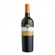 Fina Taif Terre Siciliane IGT 2022 White