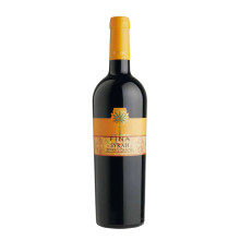 Syrah Terre Siciliane IGP 2022