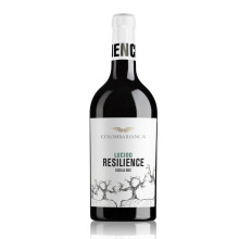 Colomba Bianca Resilience Lucido Sicilia Doc 2023 White