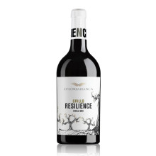 Colomba Bianca Resilience Grillo Sicilia Doc