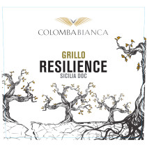 Colomba Bianca Resilience Grillo Sicilia Doc 2023 White
