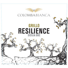 Colomba Bianca Resilience Grillo Sicilia Doc 2023 White