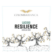 Colomba Bianca Resilience Lucido Sicilia Doc 2023 White