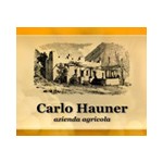 Hauner