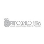 Pianogrillo